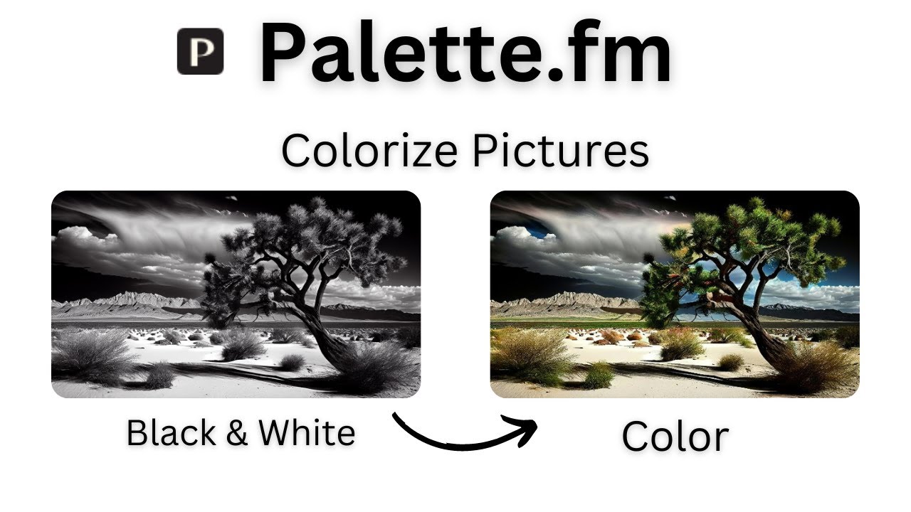 Palette — Youtube Thumbnail Fpnfca Q7hw 3