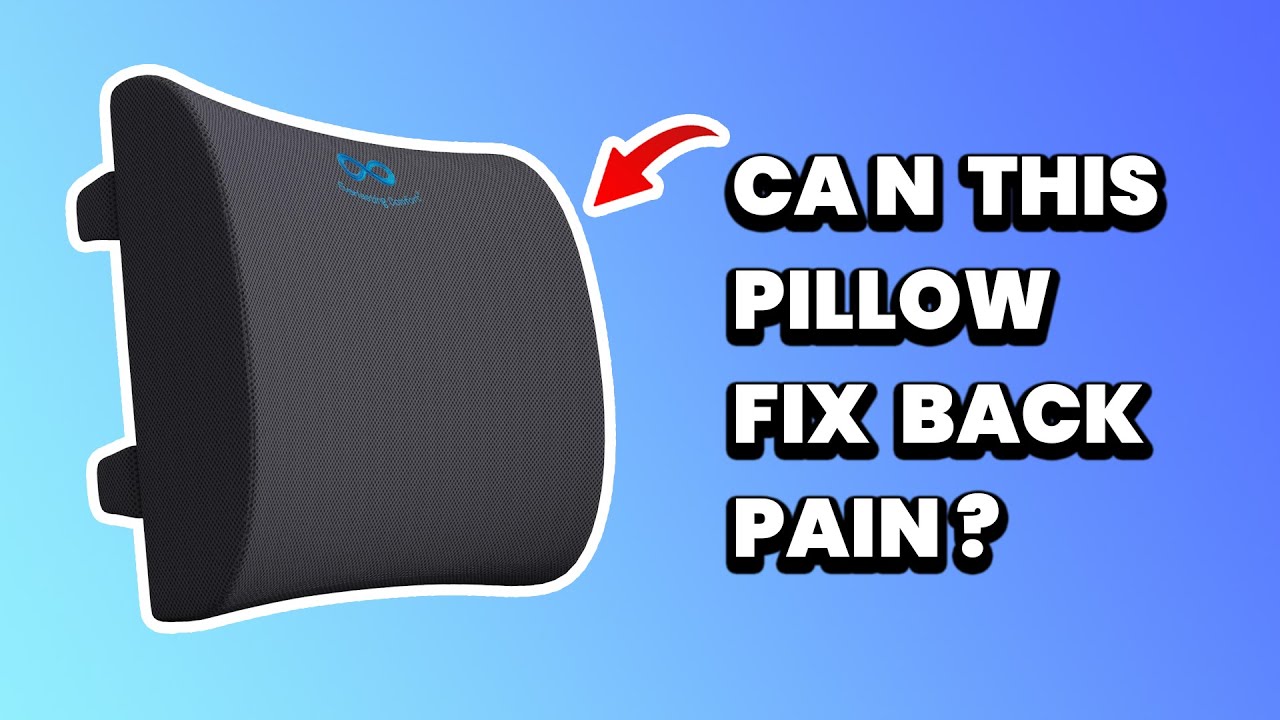 Byre — Byre Everlasting Comfort Lumbar Pillow 2
