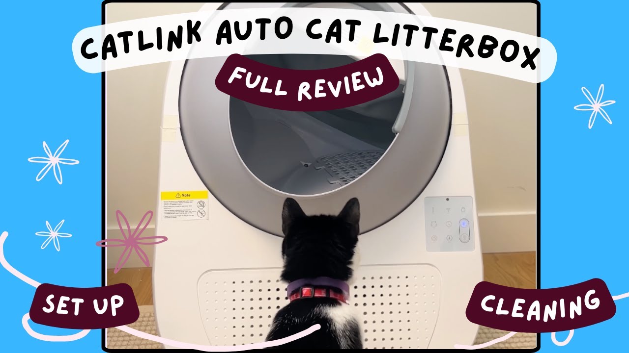 CATLINK — Catlink Automatic Full Review