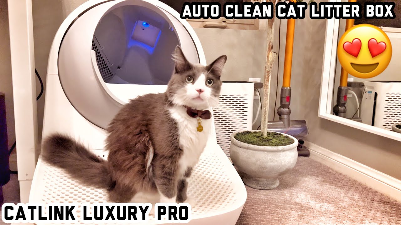 CATLINK — Catlink Best Auto Litter Box