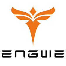 Engwe Bikes DE Review