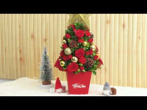 FlowerChimp — Flowerchimp Video 2 Jpg