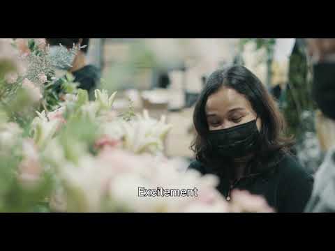 FlowerChimp — Flowerchimp Video 3 Jpg