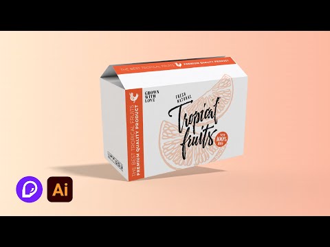 Pacdora Box Template Dieline 3D Mockup