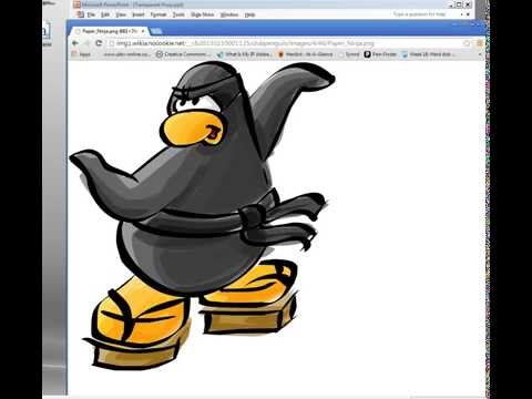 NinjaProxy — Np Yt Dzwp5y2tyms