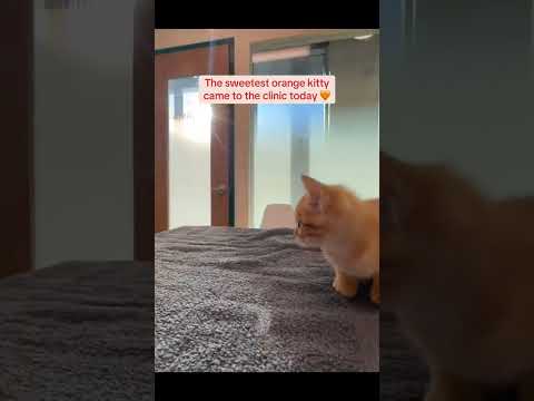 Sploot — Sploot Video3 Jpg
