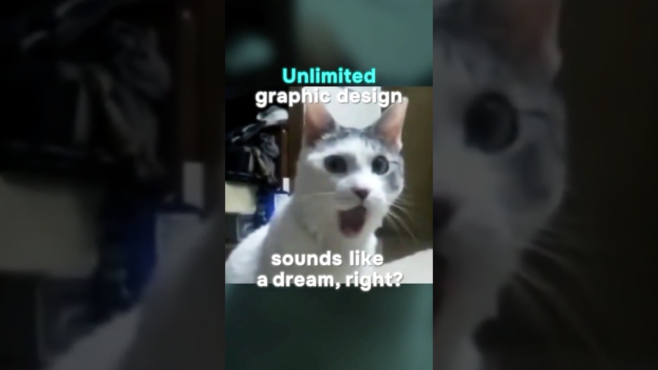 Penji — Penji Video 2