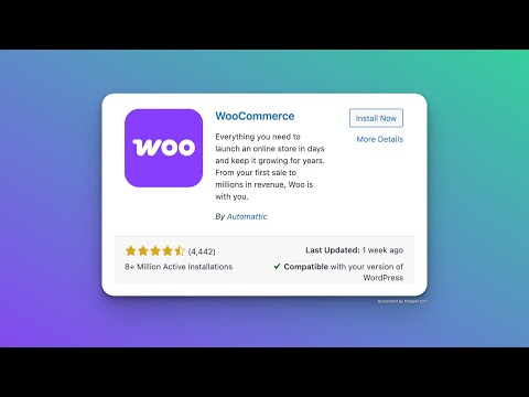 WooCommerce — Woo V1