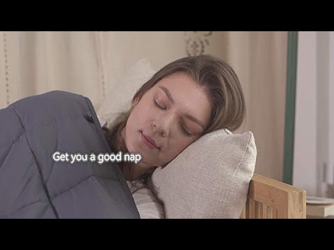 zonli-yt-new2.jpg