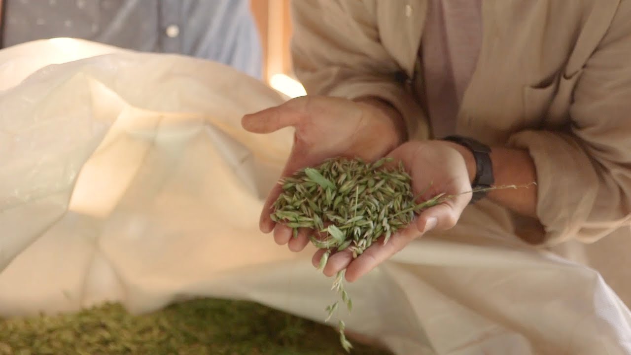 Global Healing product image