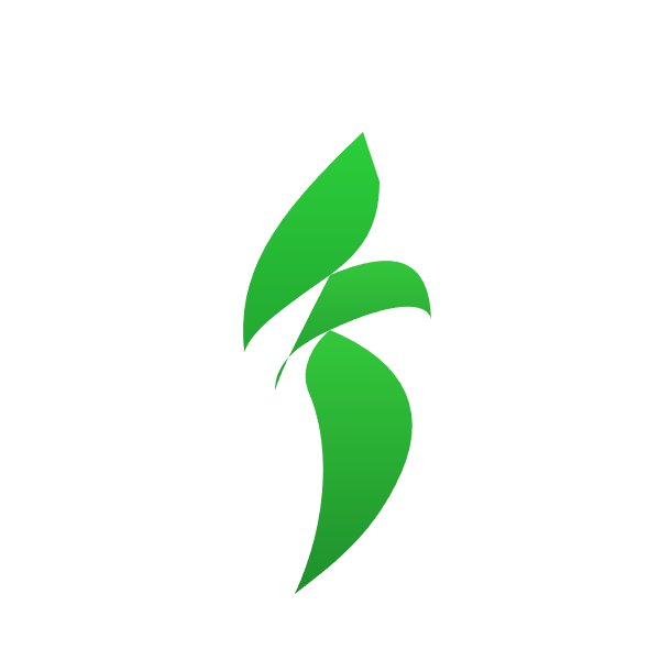 Stripo Review
