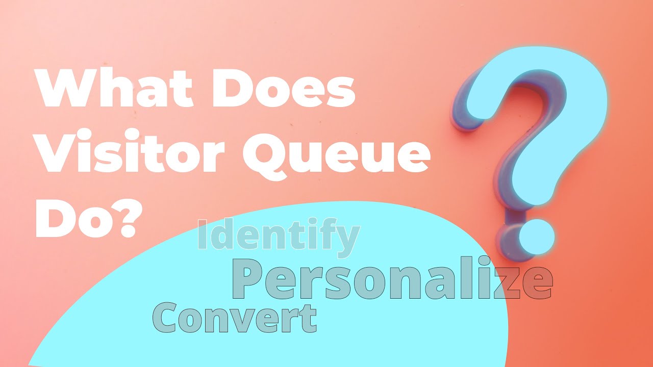 What does Visitor Queue do