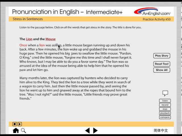AmEnglish product image